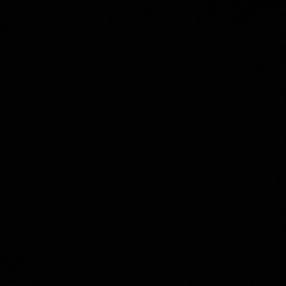 Meet your Posher, Benedict - Picture 1 of 1